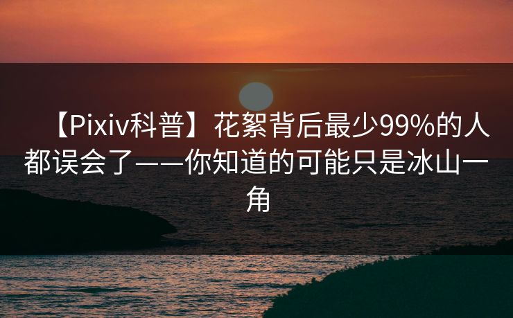 【Pixiv科普】花絮背后最少99%的人都误会了——你知道的可能只是冰山一角