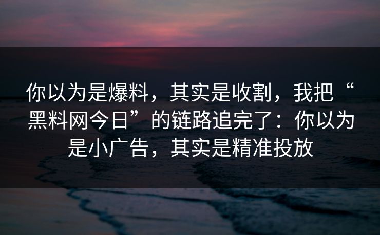 你以为是爆料，其实是收割，我把“黑料网今日”的链路追完了：你以为是小广告，其实是精准投放