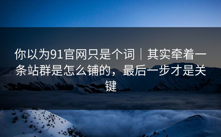你以为91官网只是个词｜其实牵着一条站群是怎么铺的，最后一步才是关键